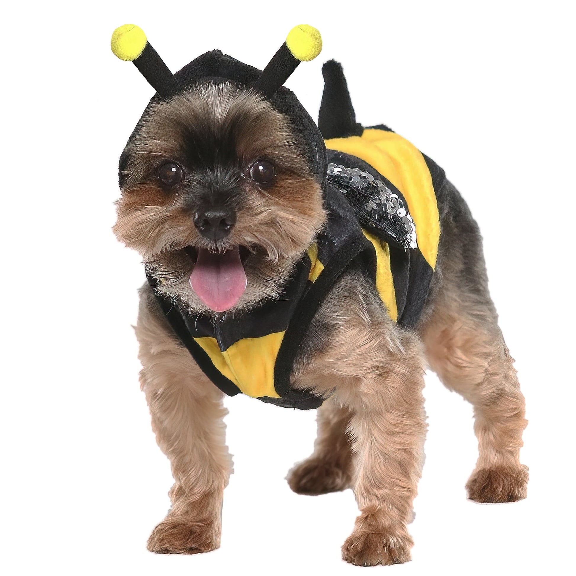 Halloween Dog Costume and Cat Costume: Bumble Bee, Size Extra-Small